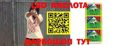 гашик Кандалакша