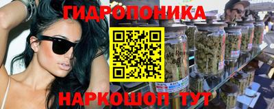 гашик Кандалакша