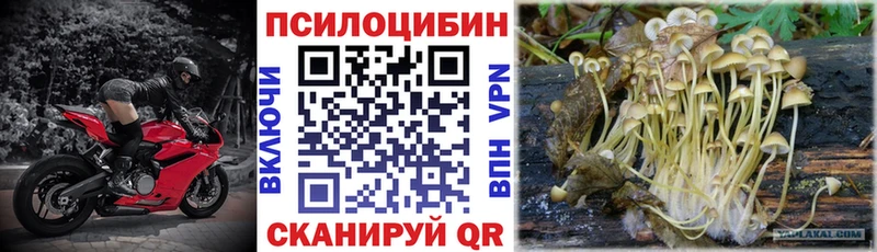 Галлюциногенные грибы MAGIC MUSHROOMS  Улан-Удэ 