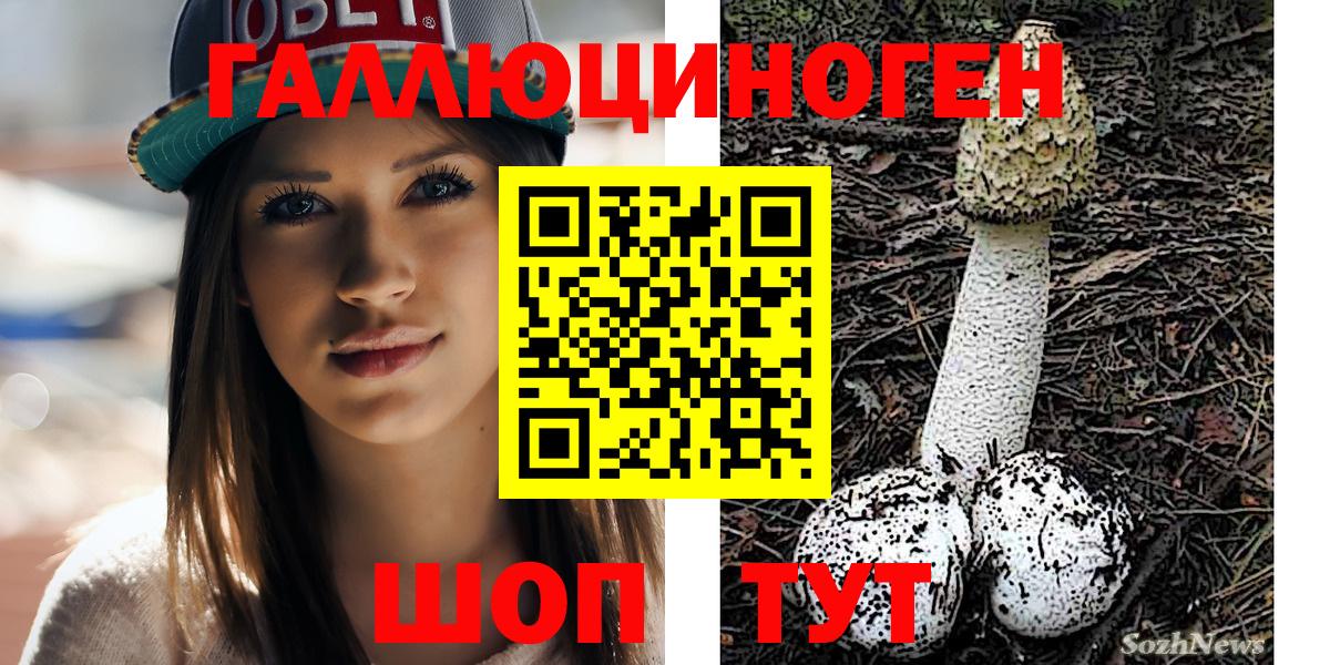 Псилоцибиновые грибы Magic Shrooms  Вход с VPN  Псилоцибиновые грибы MAGIC MUSHROOMS  где купить наркоту  Улан-Удэ 