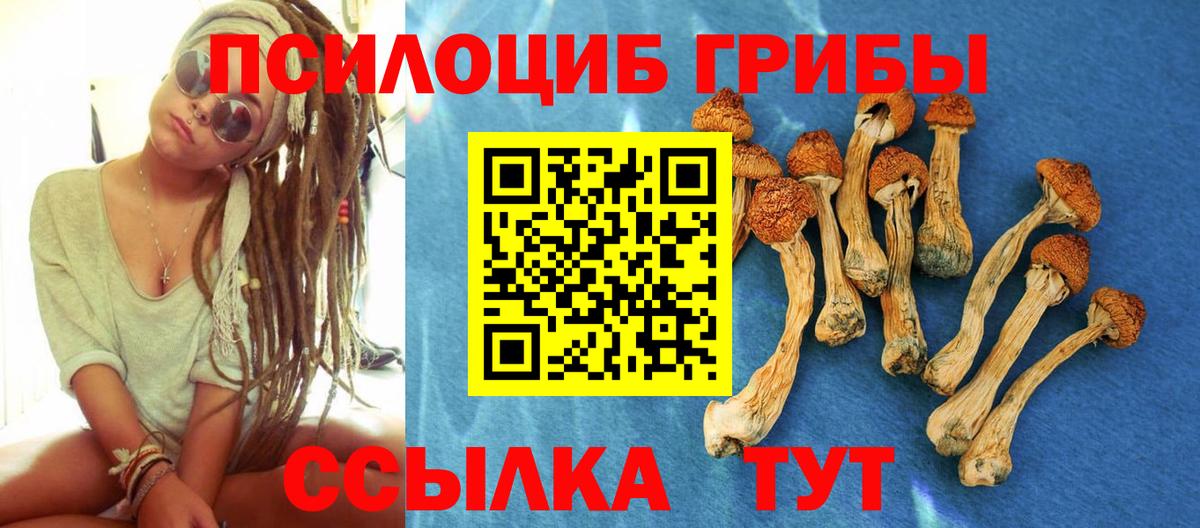 Псилоцибиновые грибы Psilocybine cubensis Улан-Удэ